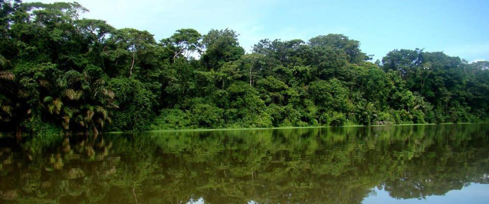 Caribbean View Lejlighed Tortuguero Eksteriør billede