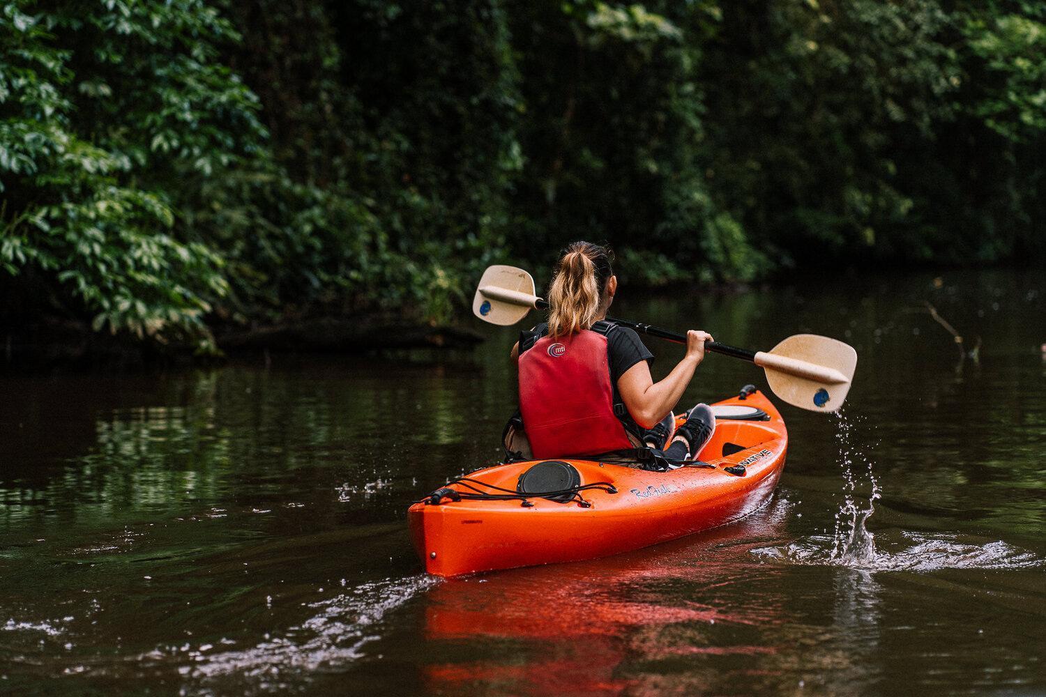 Caribbean View Lejlighed Tortuguero Eksteriør billede