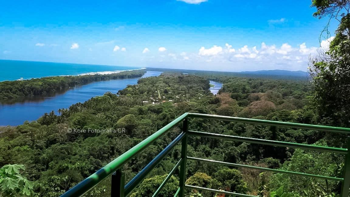 Caribbean View Lejlighed Tortuguero Eksteriør billede