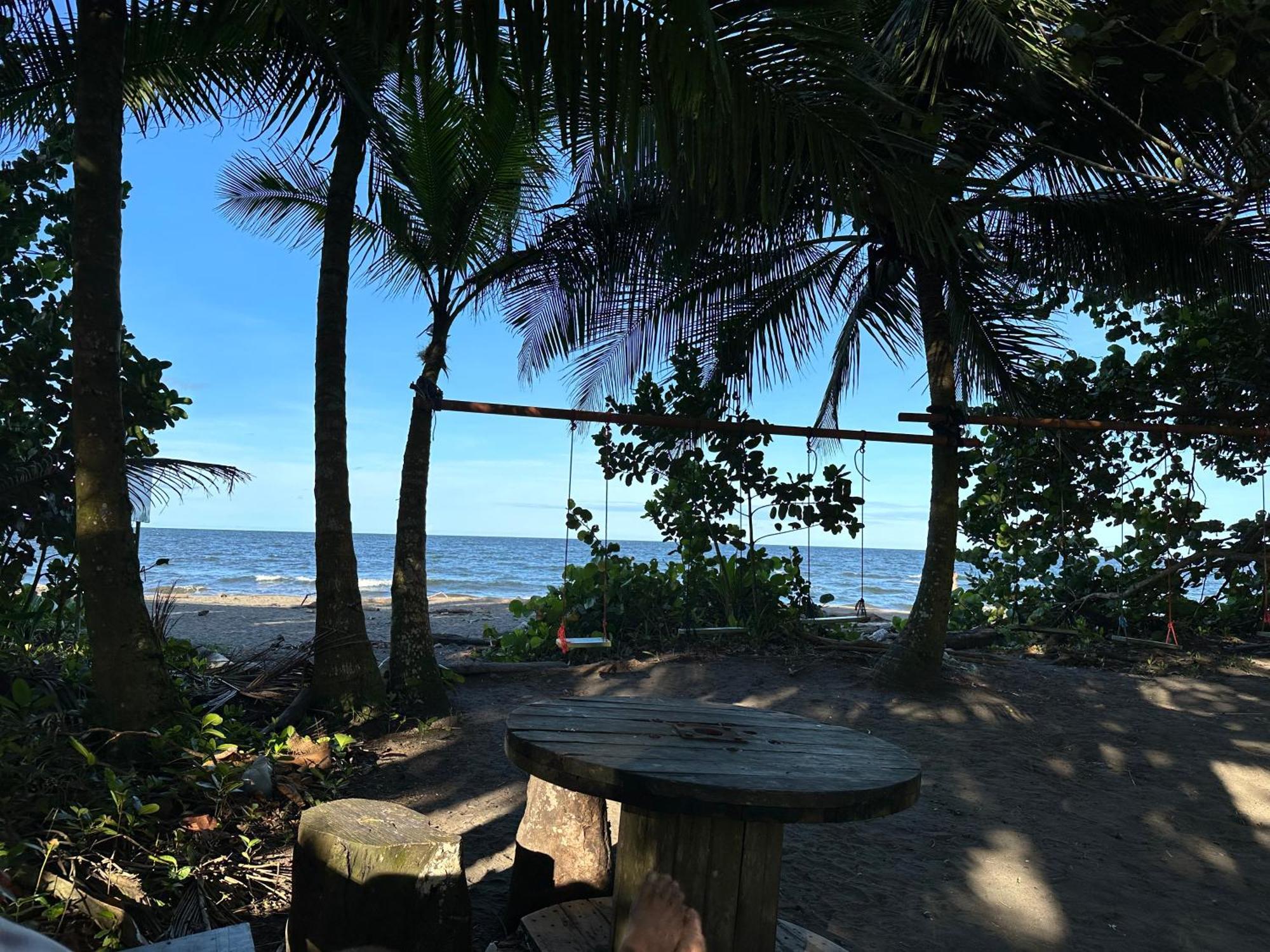 Caribbean View Lejlighed Tortuguero Eksteriør billede