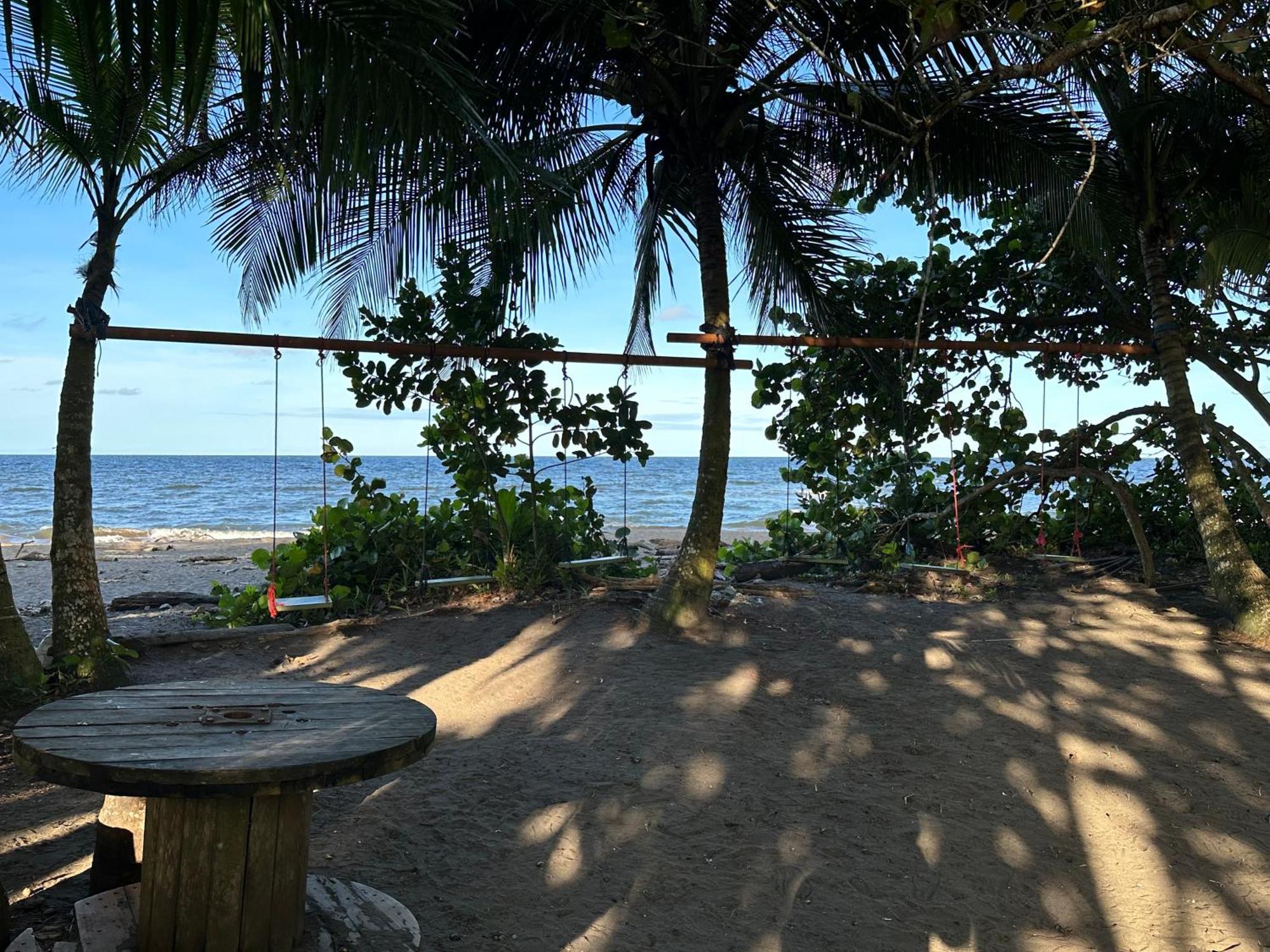 Caribbean View Lejlighed Tortuguero Eksteriør billede
